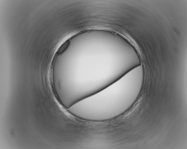 X0000115680909200911120944
