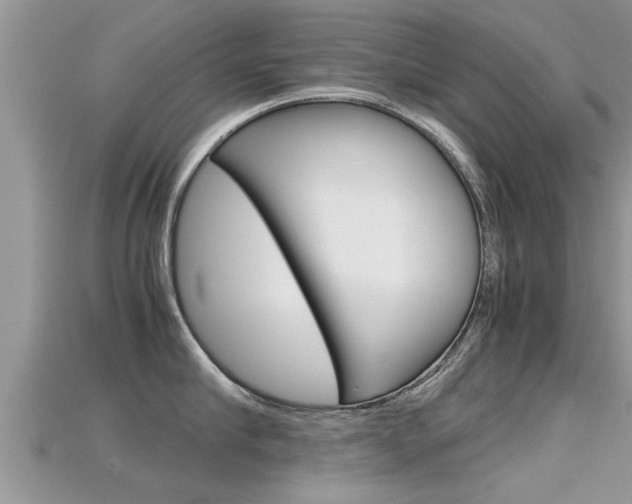 X0000115680910200911120944