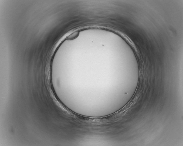 X0000115680911200911120944