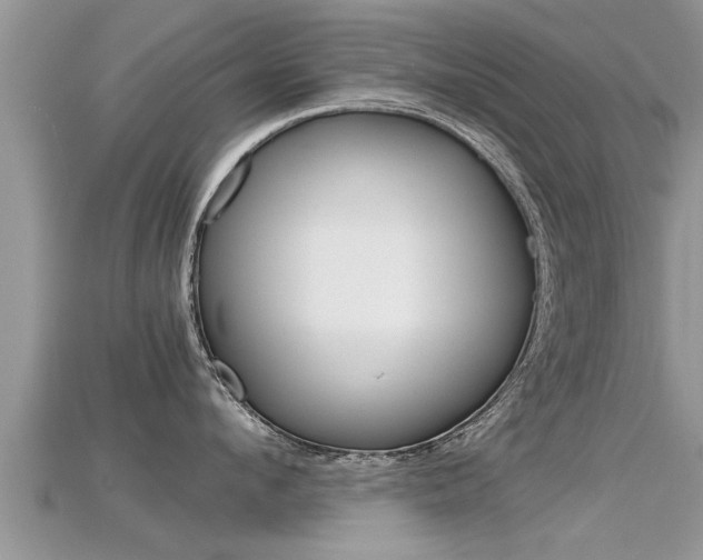 X0000115680912200911120944