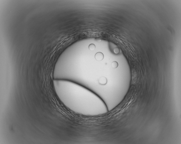 X0000115680913200911120944