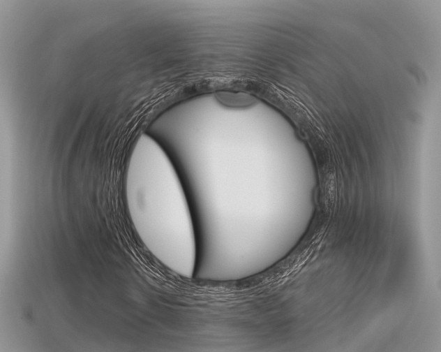 X0000115680914200911120944