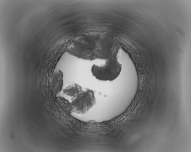 X0000115680917200911120944