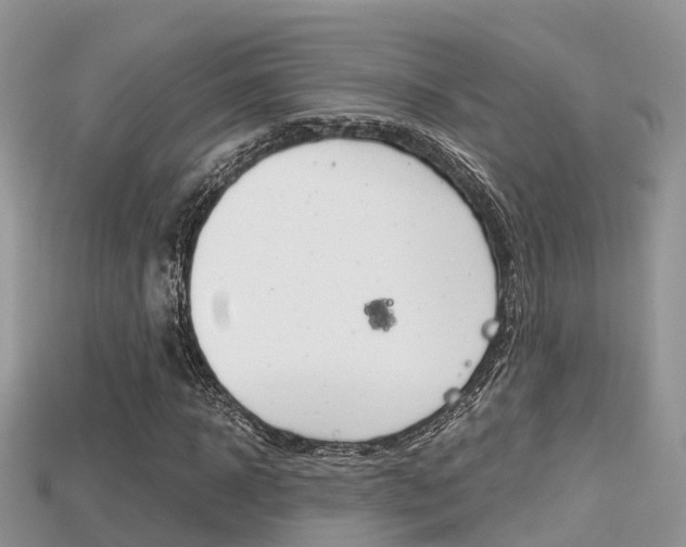 X0000115680918200911120944