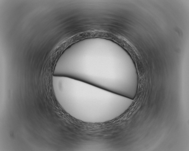 X0000115680919200911120944