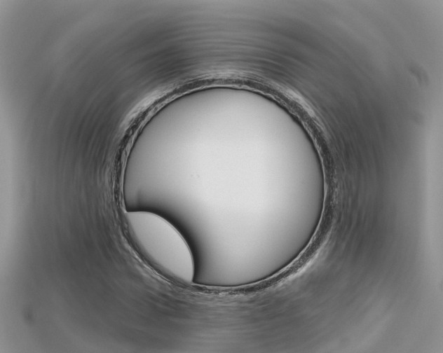 X0000115680922200911120944