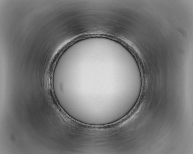X0000115680925200911120944