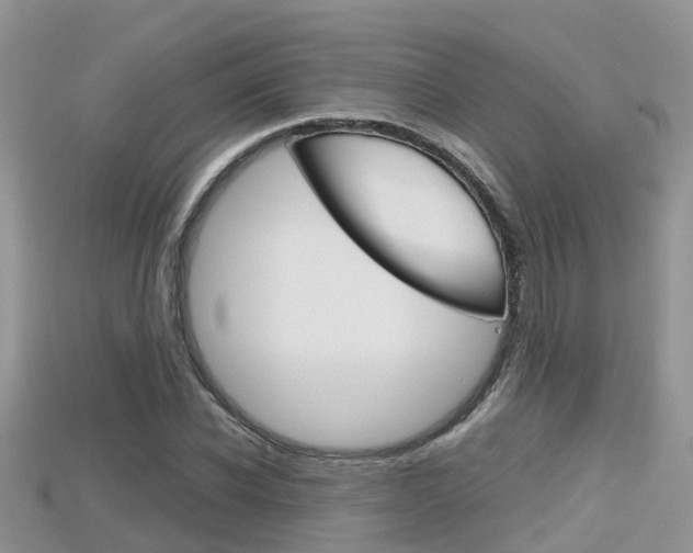 X0000115680926200911120944