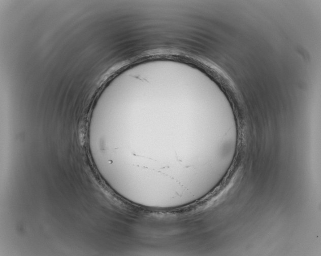 X0000115680929200911120944