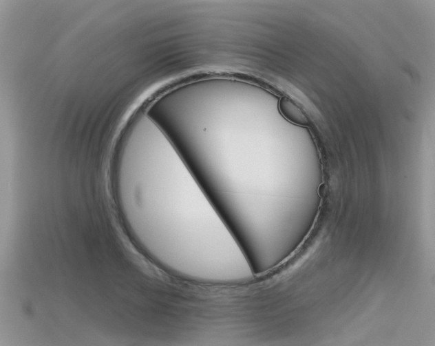 X0000115680934200911120944