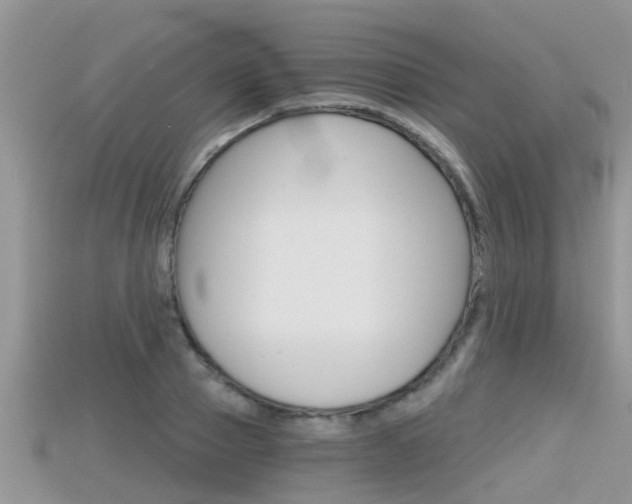 X0000115680937200911120944