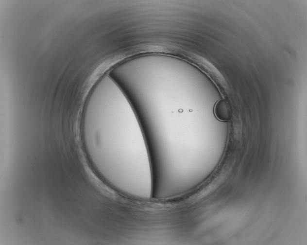 X0000115680938200911120944