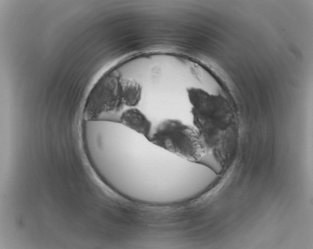 X0000115680941200911120944