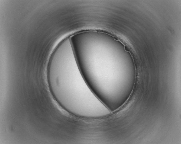 X0000115680942200911120944
