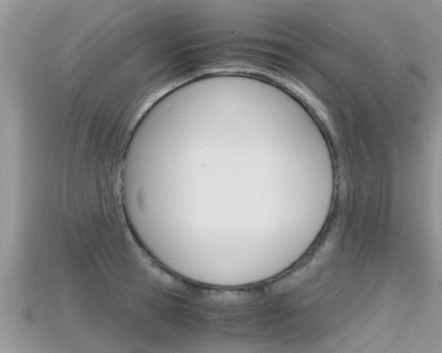 X0000115680945200911120944