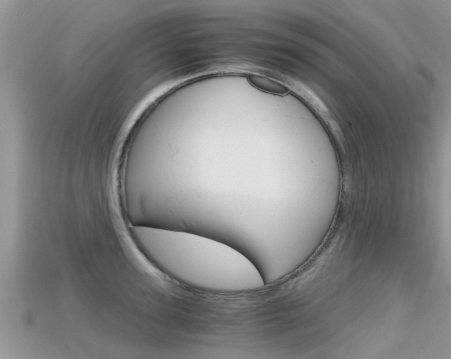 X0000115680947200911120944