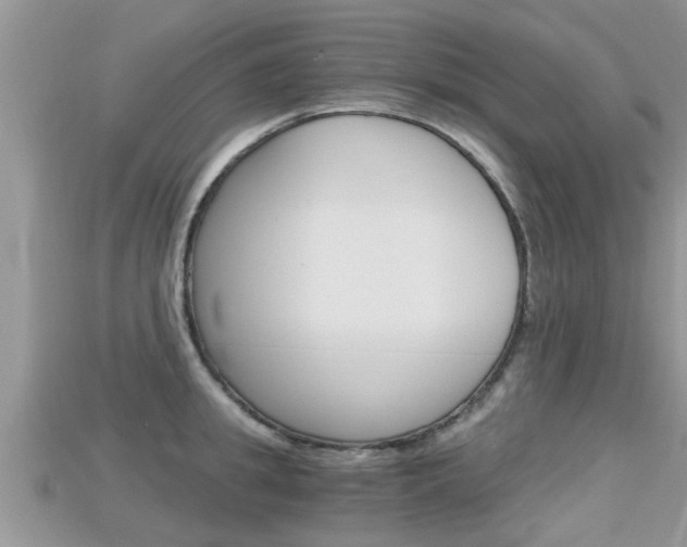 X0000115680949200911120944