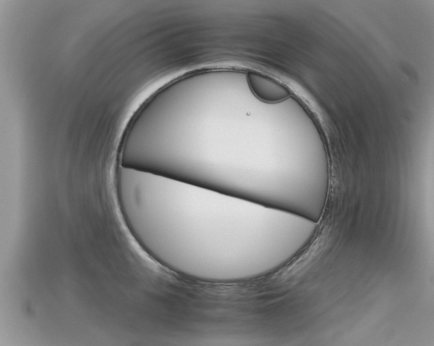 X0000115680951200911120944