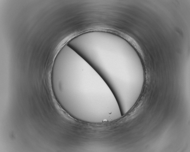 X0000115680954200911120944