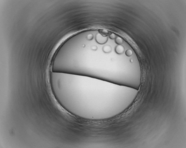 X0000115680955200911120944