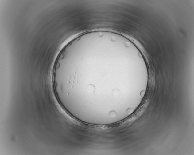 X0000115680957200911120944