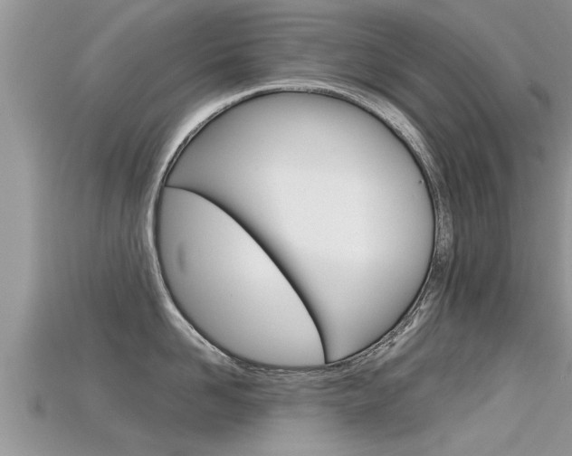X0000115680958200911120944