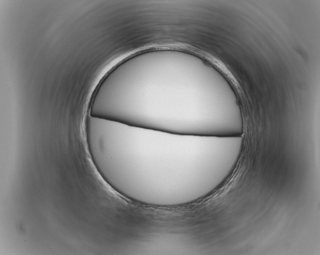 X0000115680959200911120944