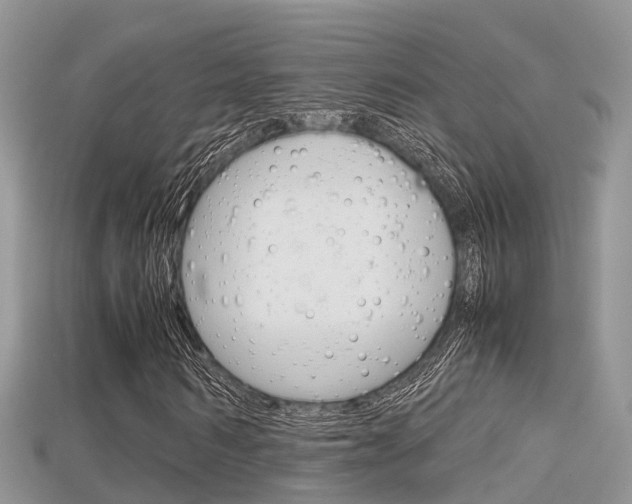 X0000115680962200911120944