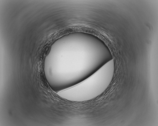 X0000115680965200911120944