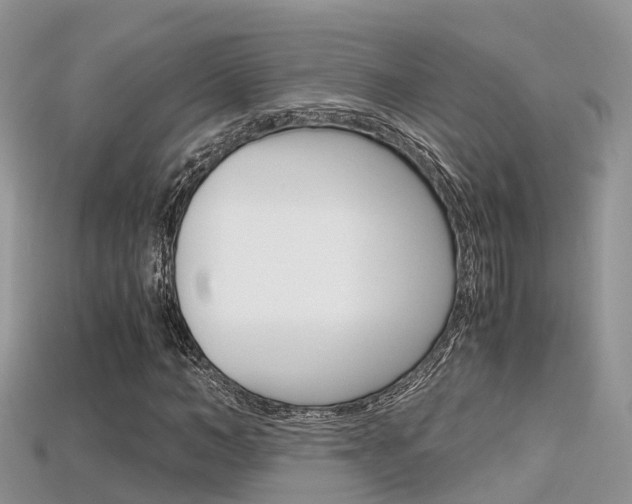 X0000115680966200911120944
