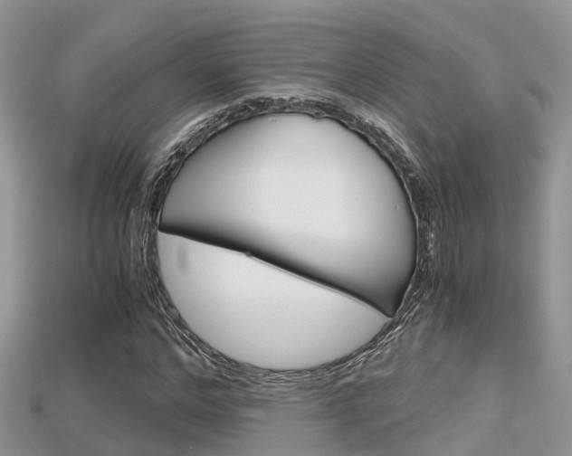 X0000115680968200911120944