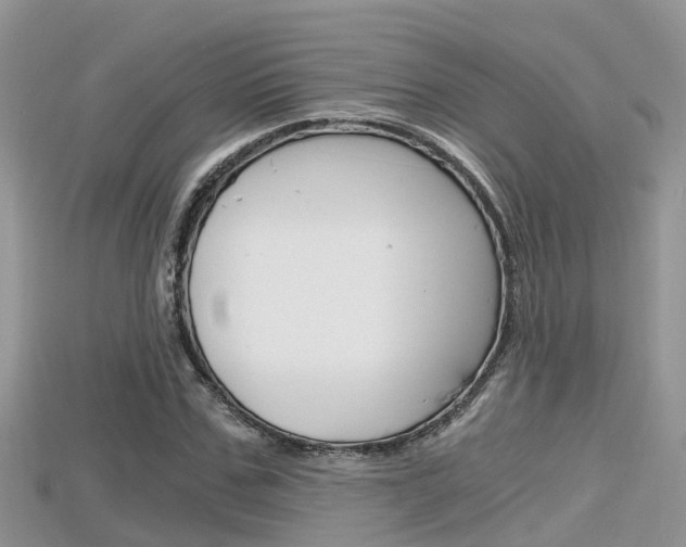 X0000115680971200911120944