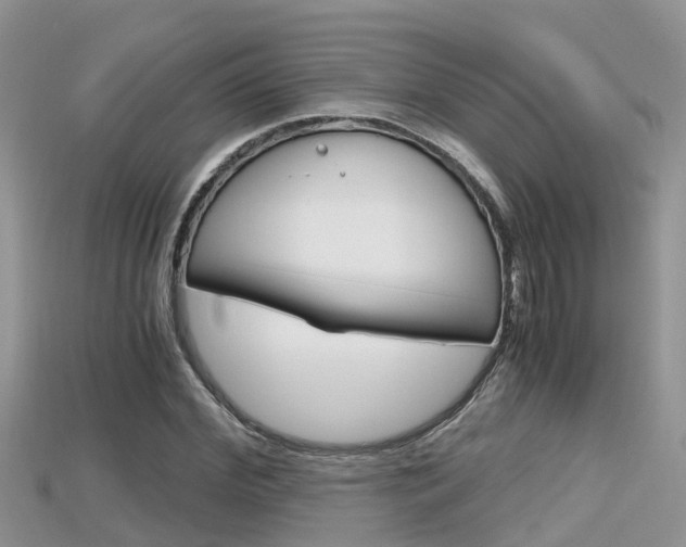 X0000115680972200911120944