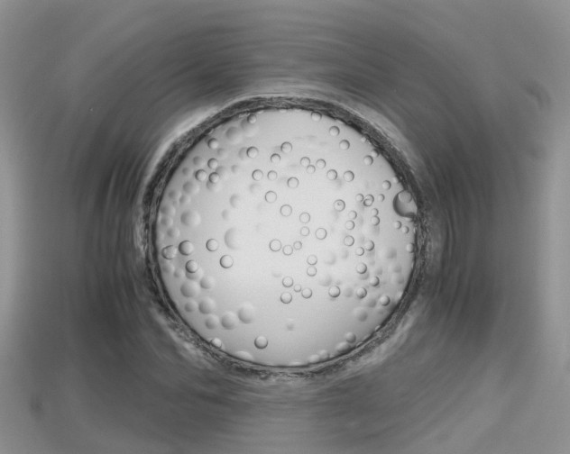 X0000115680974200911120943