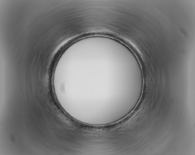 X0000115680975200911120943