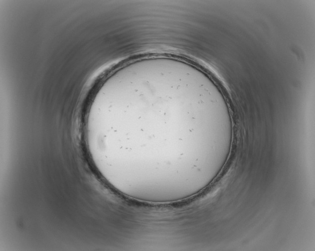 X0000115680979200911120943