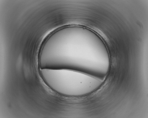X0000115680980200911120943