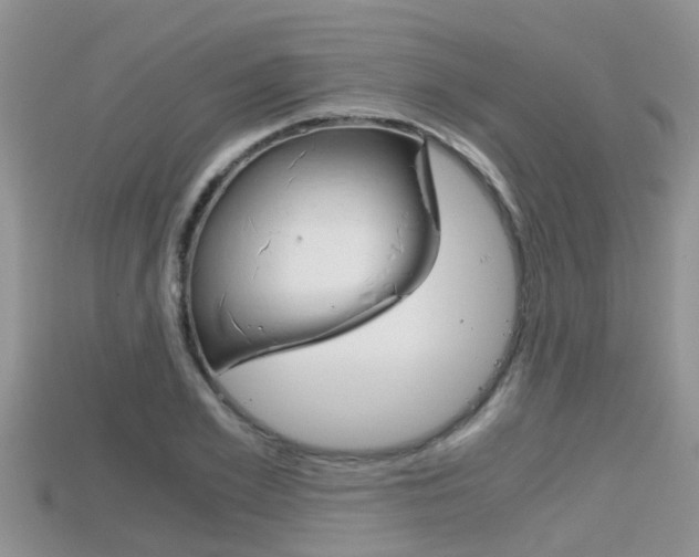 X0000115680981200911120943