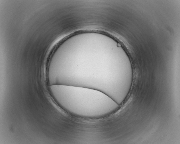 X0000115680982200911120943