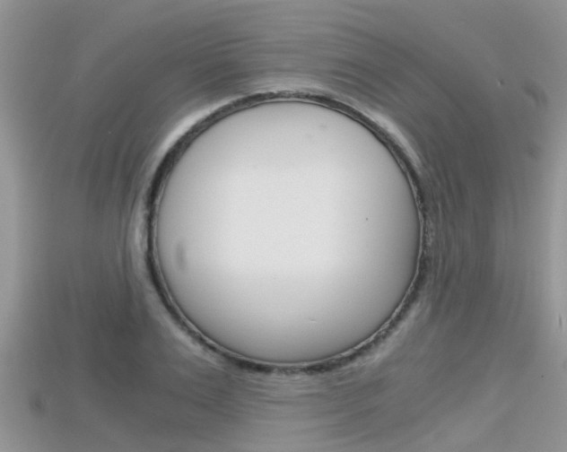 X0000115680983200911120943