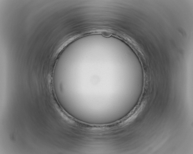X0000115680985200911120943