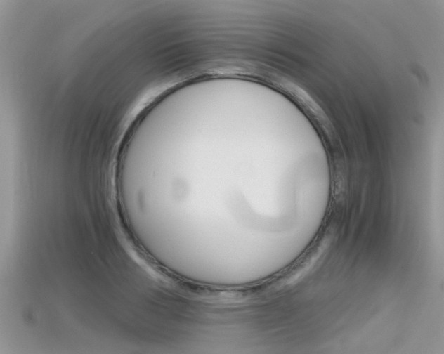 X0000115680986200911120943