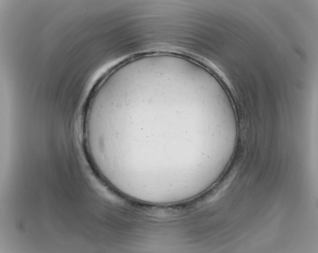 X0000115680987200911120943