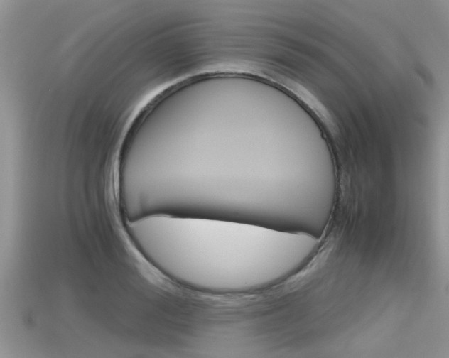 X0000115680988200911120943
