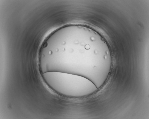 X0000115680990200911120943
