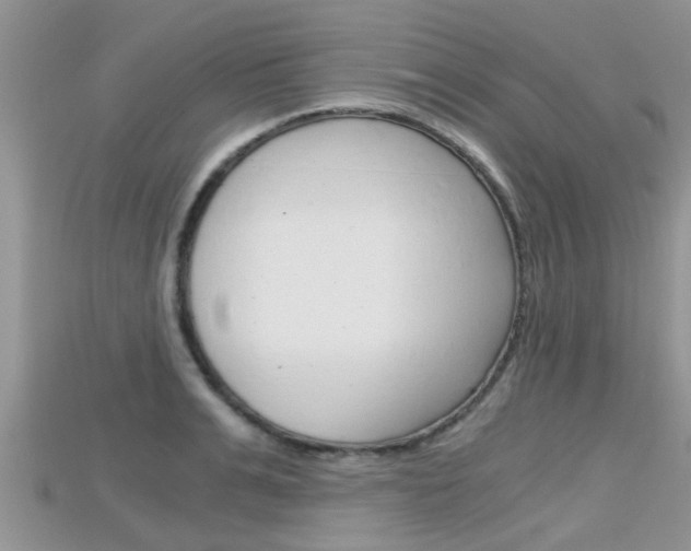 X0000115680991200911120943