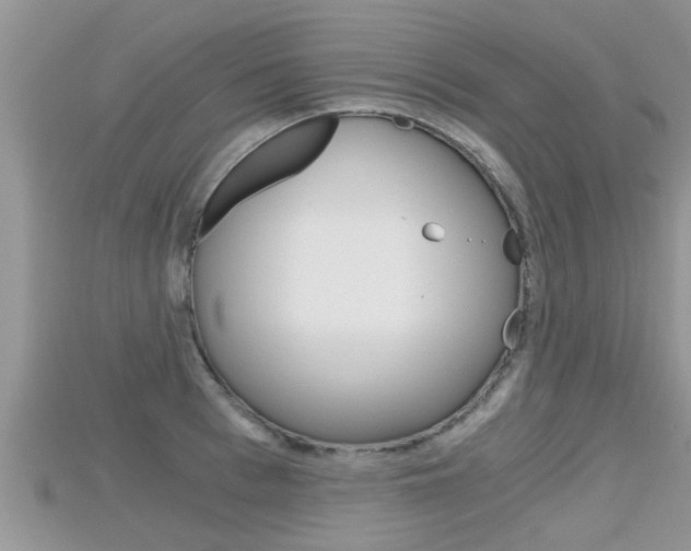 X0000115680993200911120943