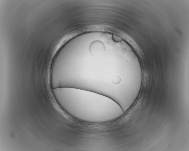X0000115680994200911120943
