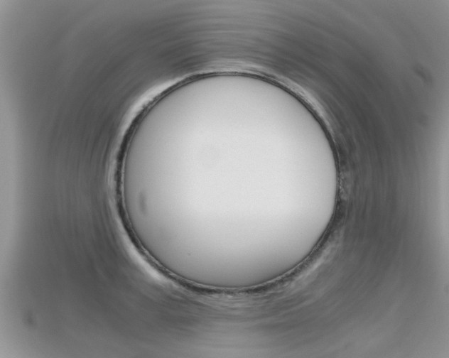 X0000115680995200911120943