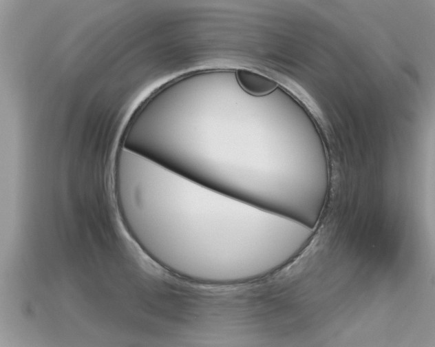 X0000115680996200911120943